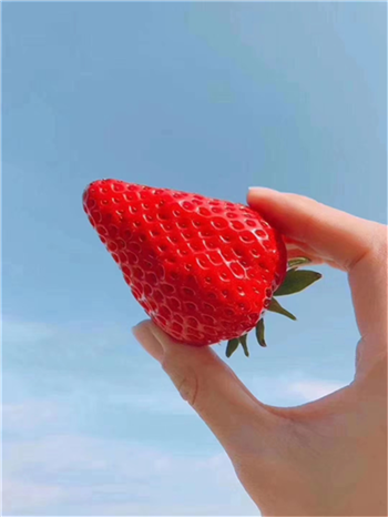 图片6_副本.png