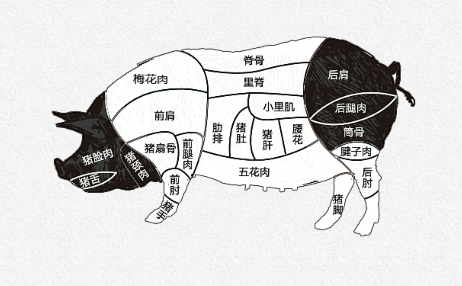 猪部位图.png