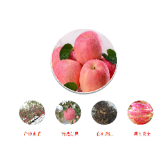 牛肉