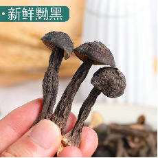 黑皮鸡枞菇（干）